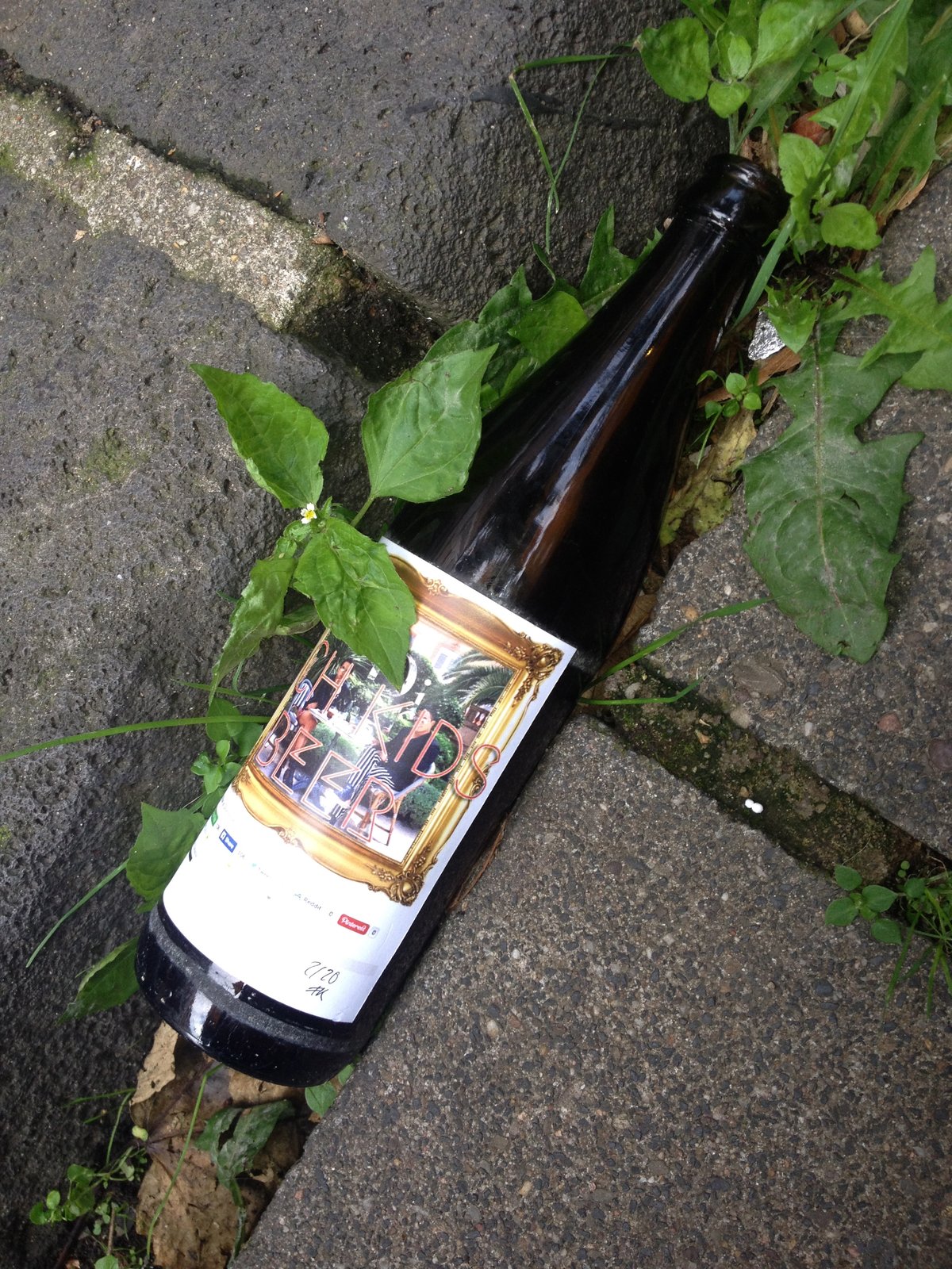 A bottle in the street among weeds