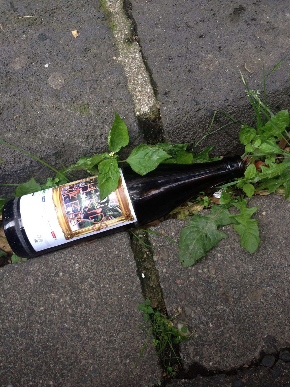 A bottle lying in the cobblestones, weeds growing through